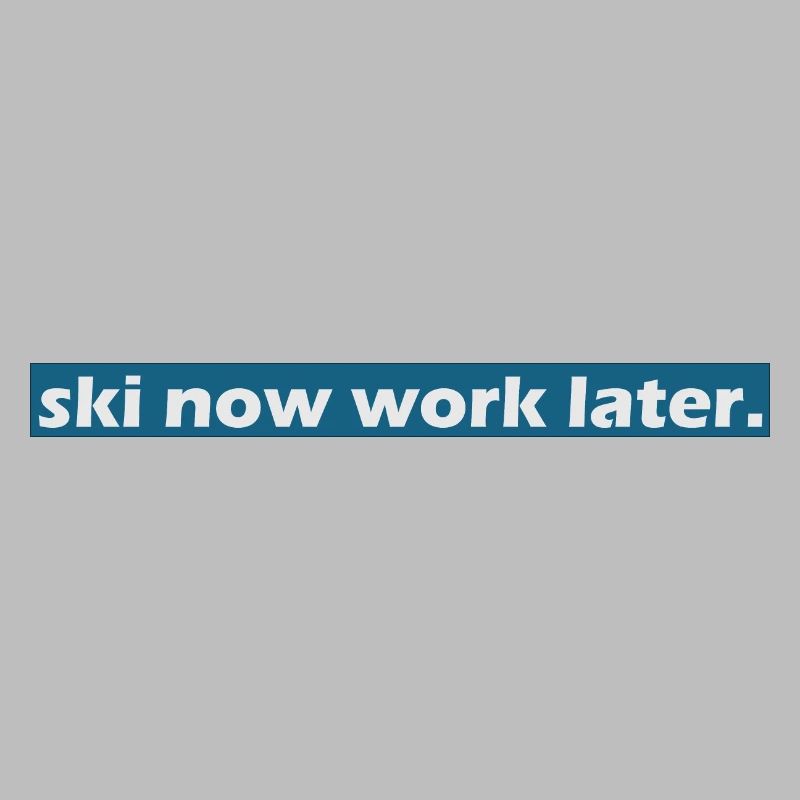 ski now