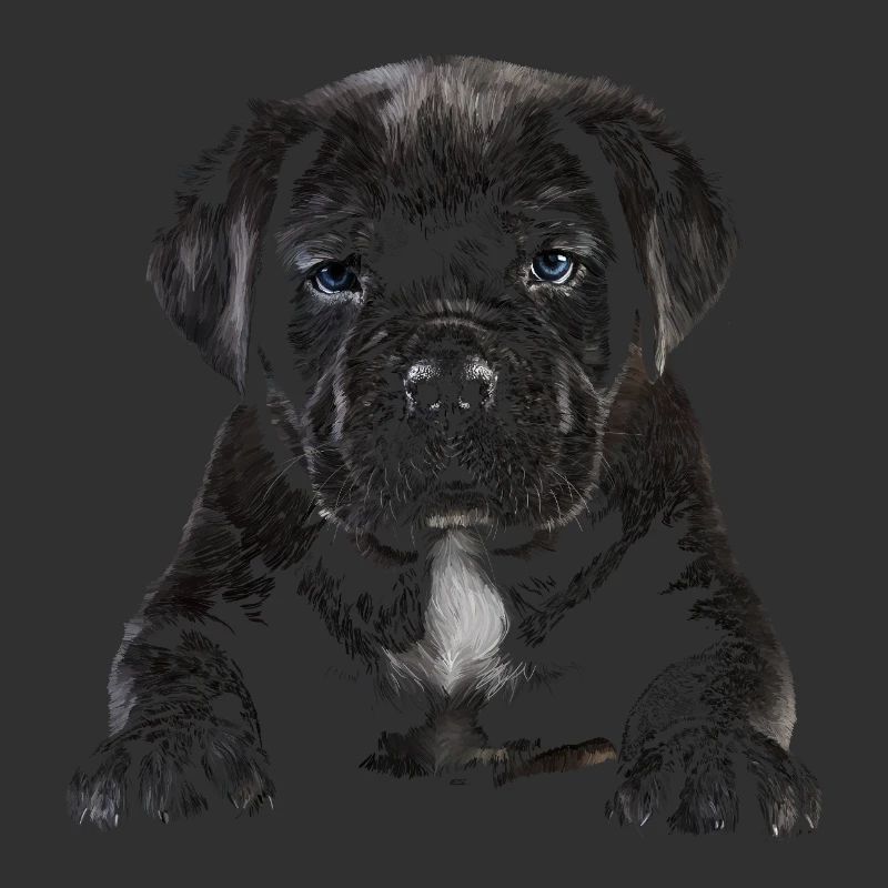 Chiot