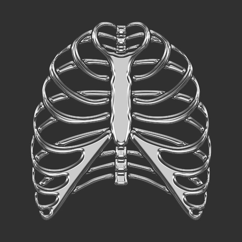 Chromrippen / Skelettrippen