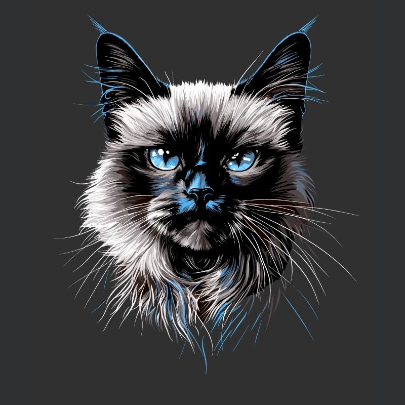 Chat Birman Chat Birman Sacré Chat Birman Mignon Chats Birmans