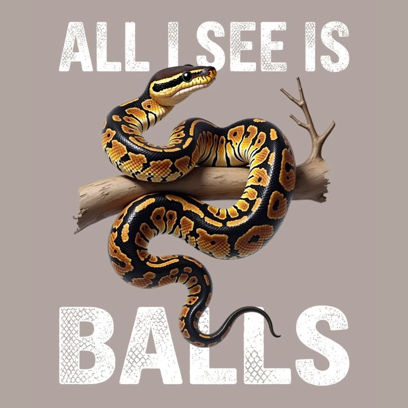 Python roi Serpents Amateurs de terrarium Python