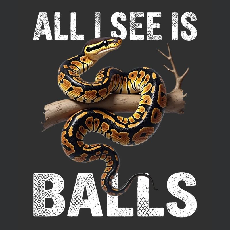 Python roi Serpents Amateurs de terrarium Python