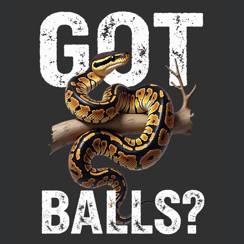 Python roi Serpents Amateurs de terrarium Python
