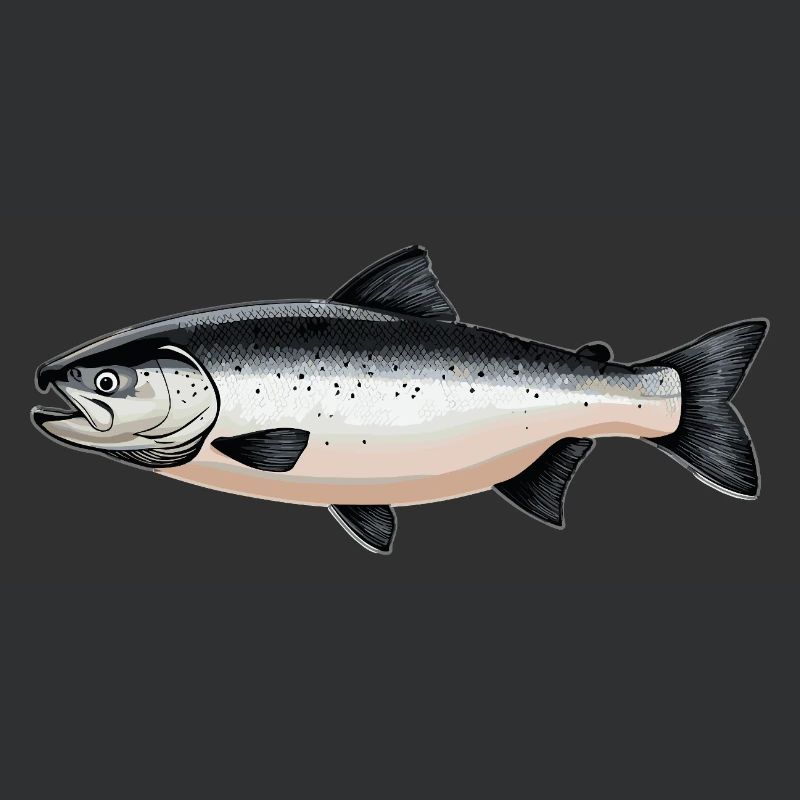 Saumon Saumon