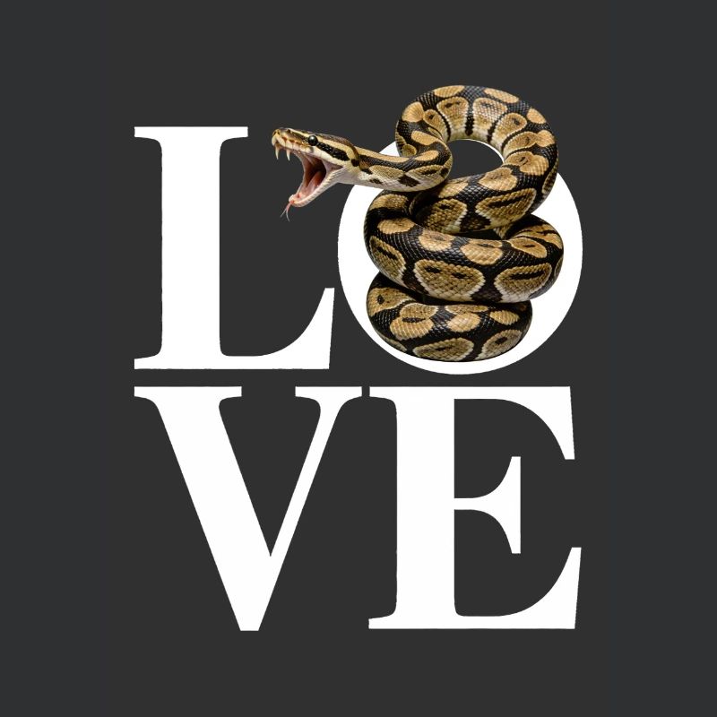 Les serpents rois Python ADORENT les pythons de terrarium