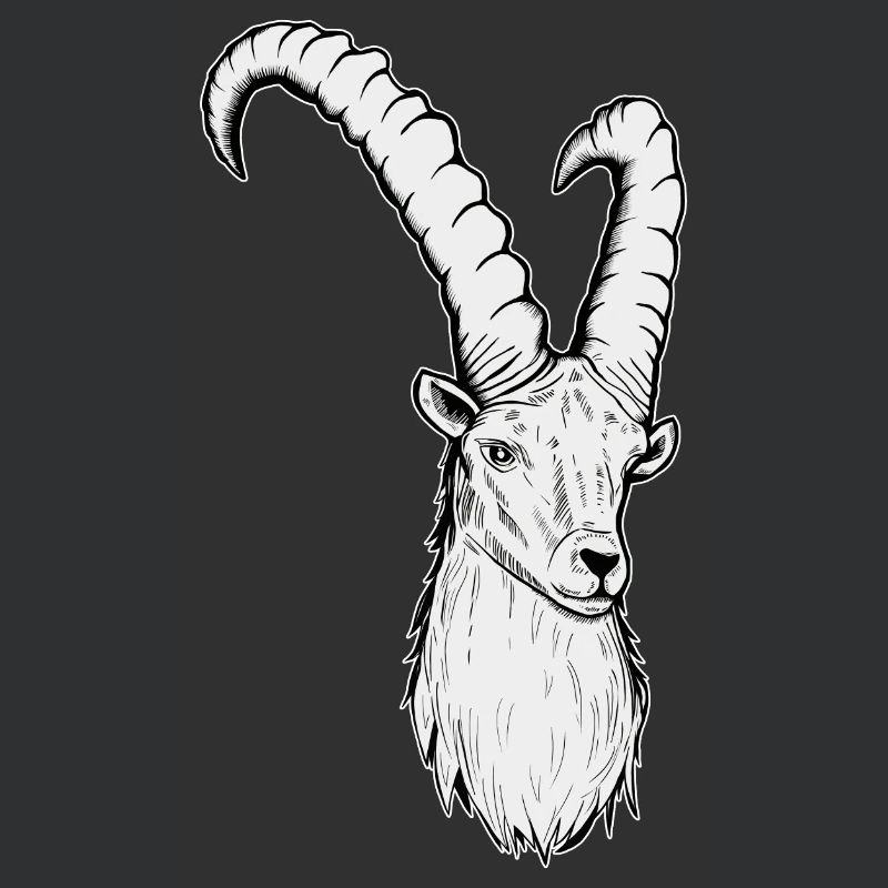 Steinbock Sternzeichen