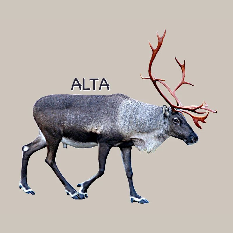 Alta