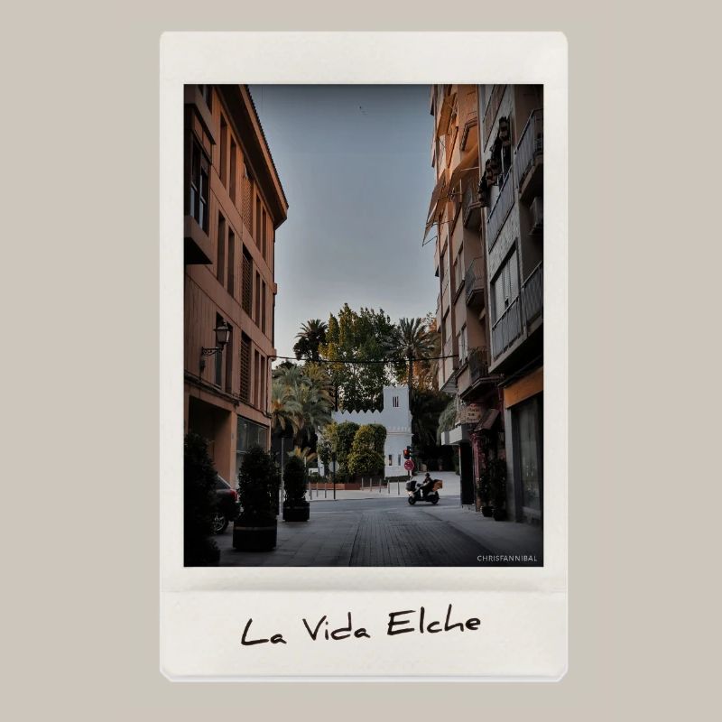Leben Elche