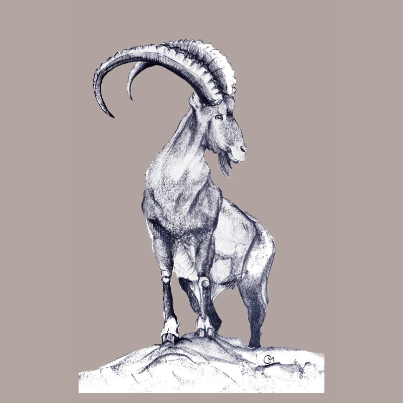 Steinbock
