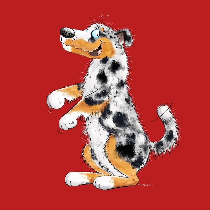 Funny Australian Shepherd