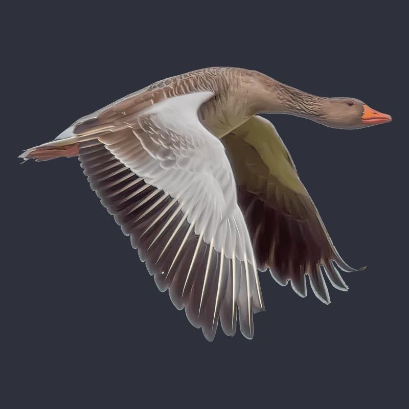 Gans