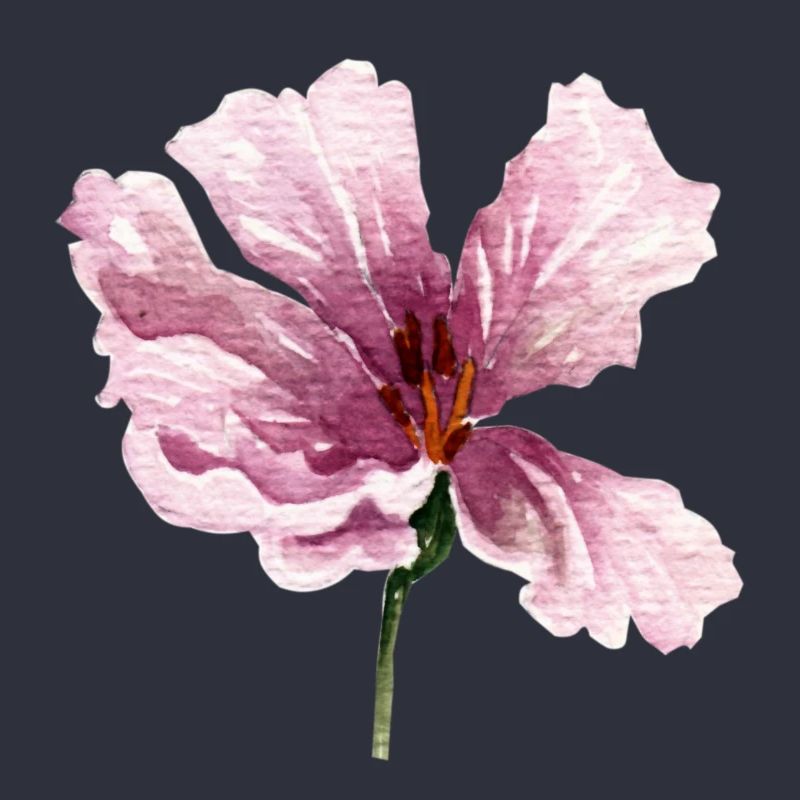 blume rosa