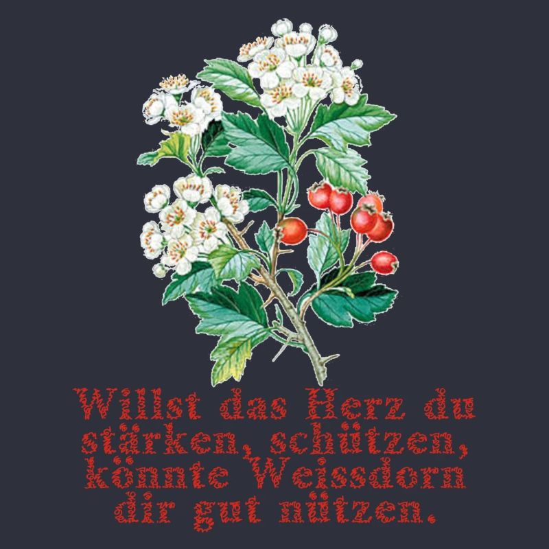 weissdorn