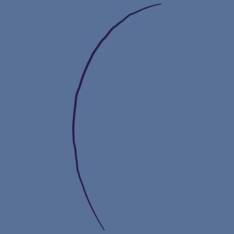 Conifer - line