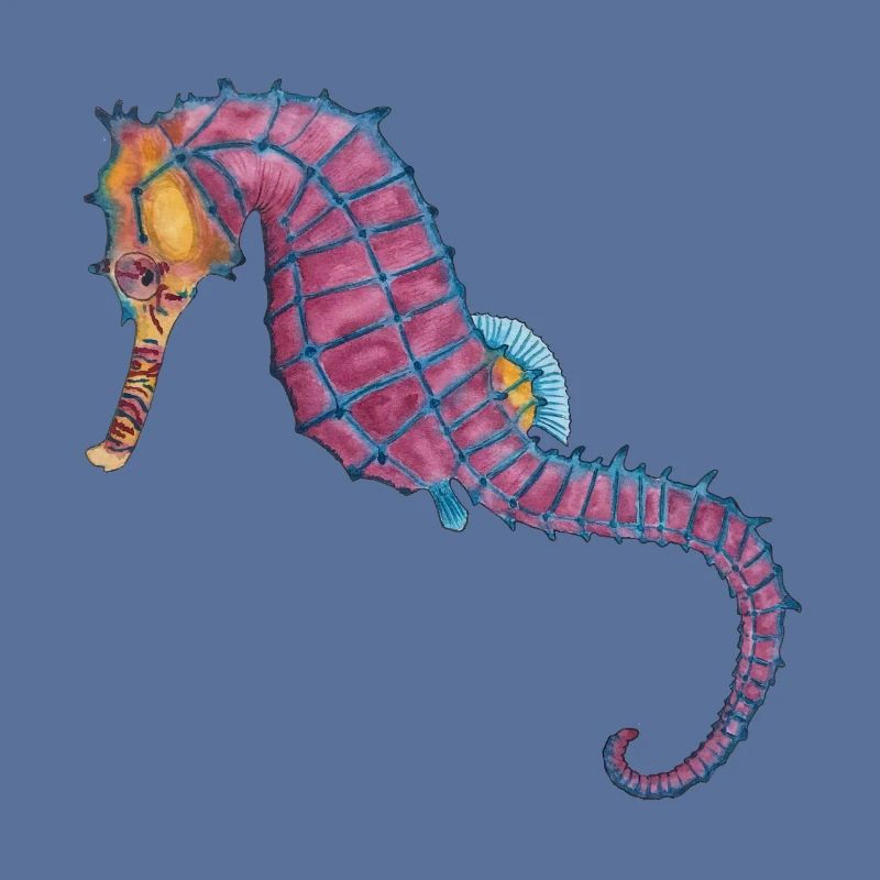 Seepferdchen Seepferd