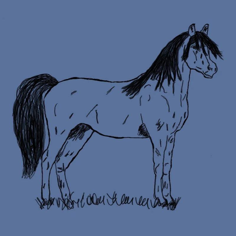 Pferd