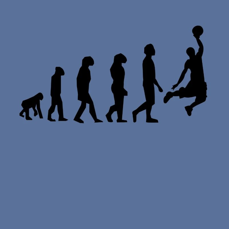ÉVOLUTION BASKET