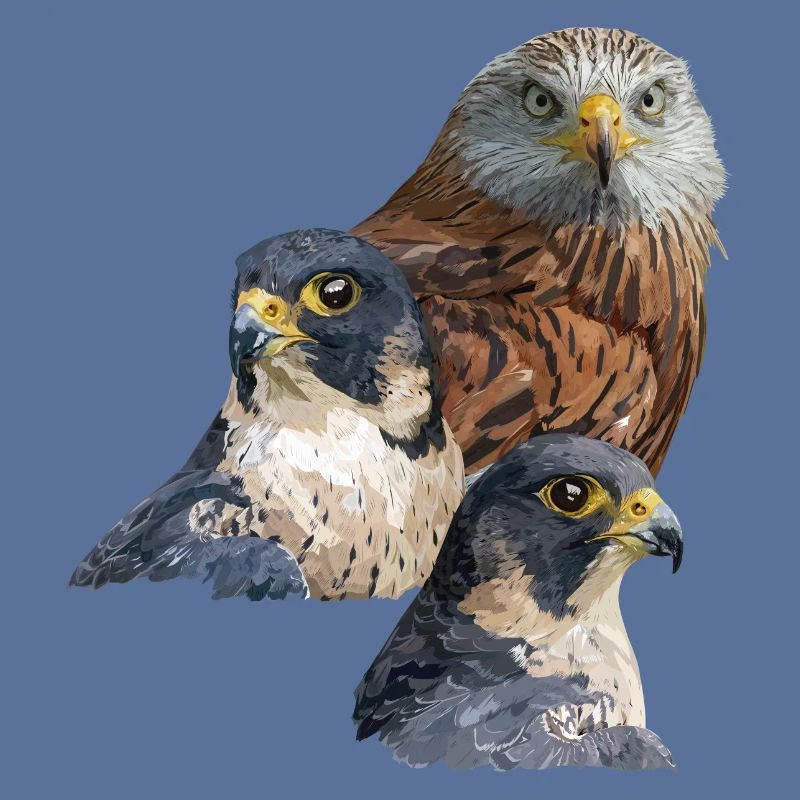 Greifvogel
