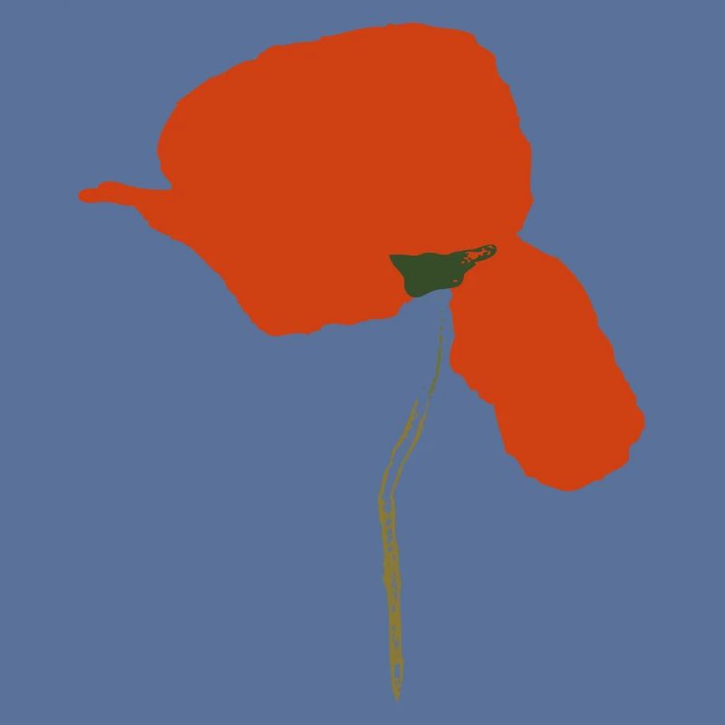 Klatschmohn