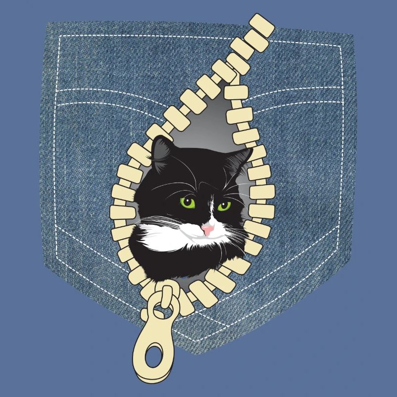 Katze Katzen