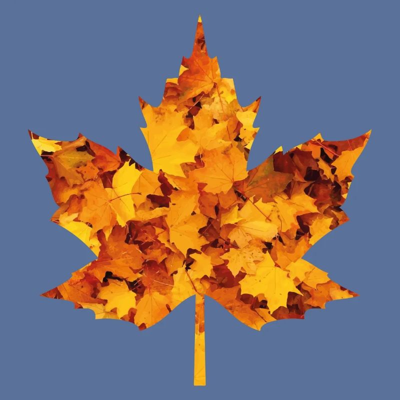 Feuille d’érable