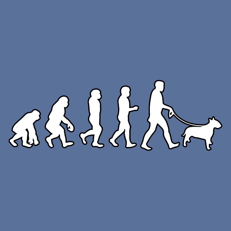 EVOLUTION Labrador