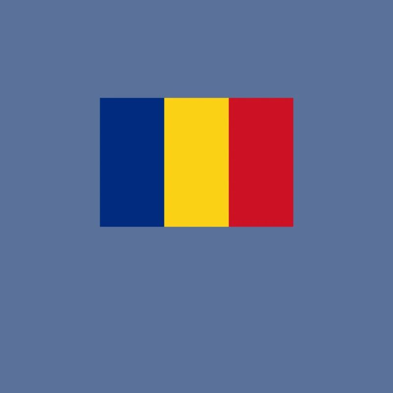 Roumanie drapeau roumain drapeau