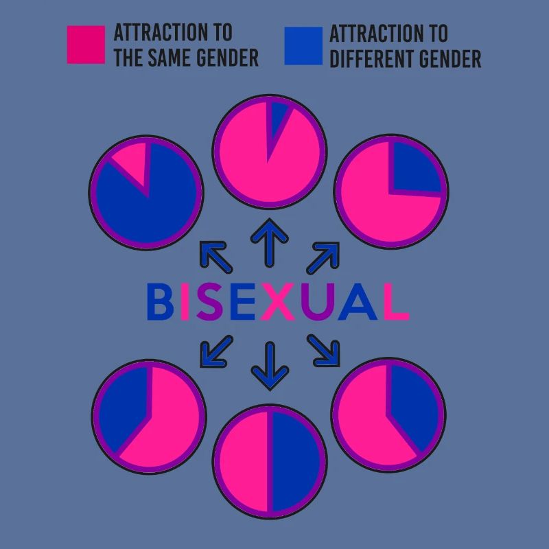 Bisexual Bi Pride Flag Pie Chart