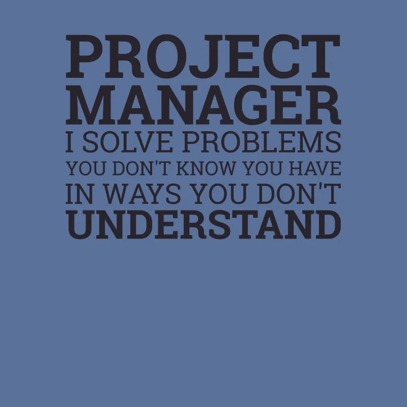 Project Manager Solve Problems | Project Manager