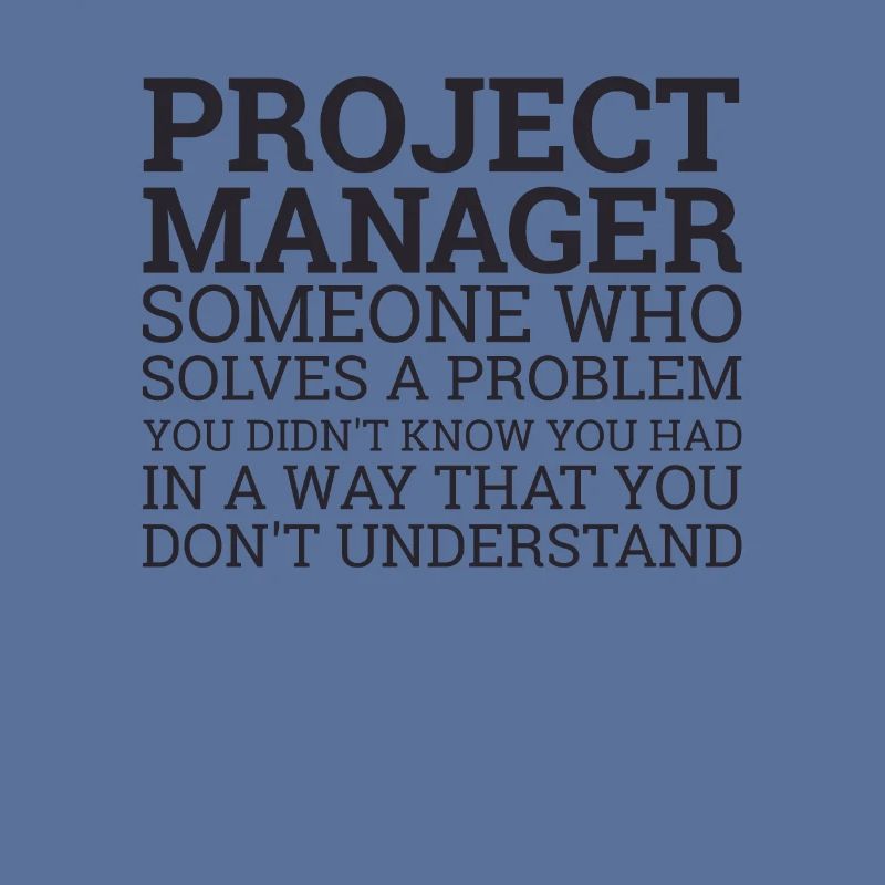 Project Manager Solve Problems | Project Manager