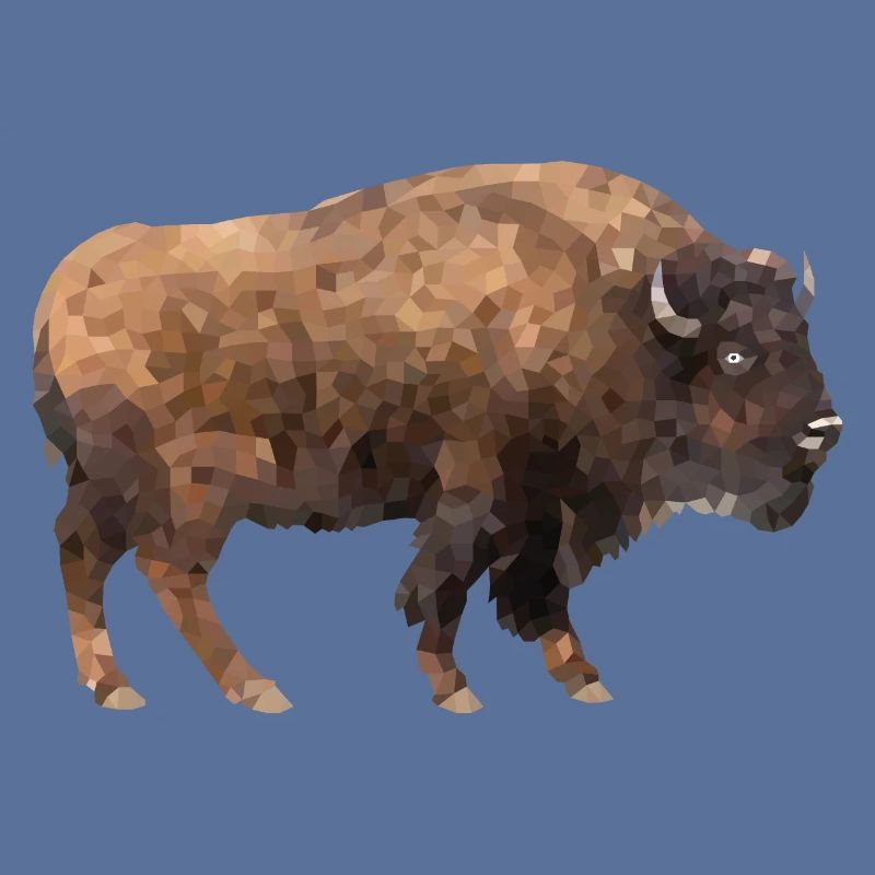 Bison