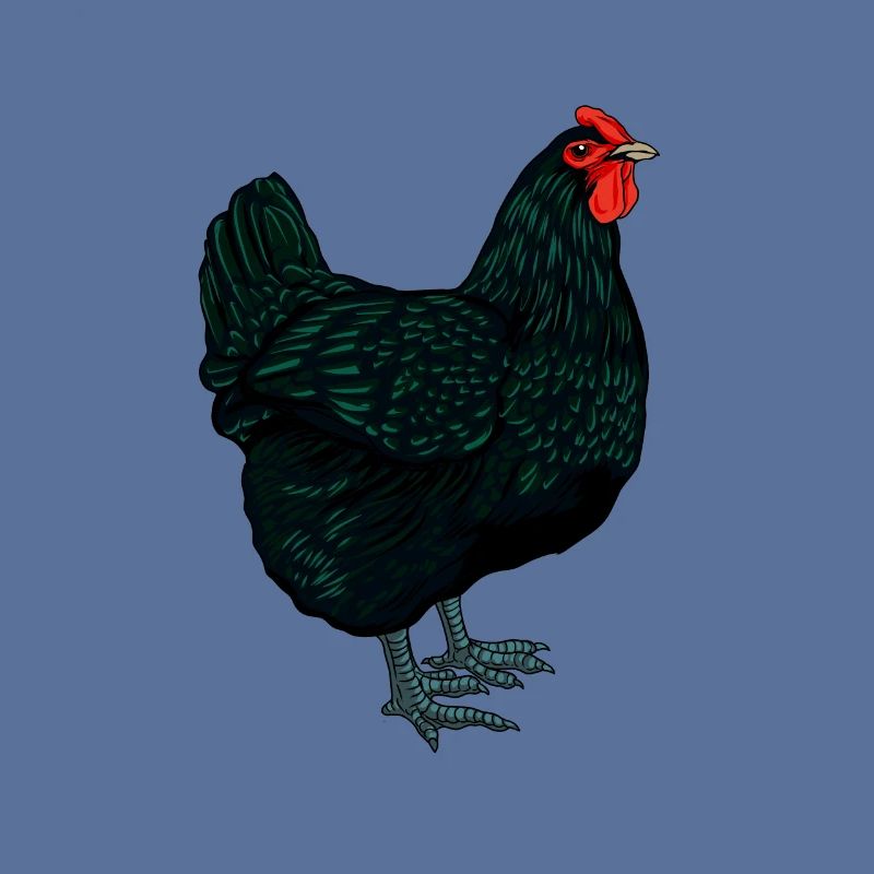 Jersey Géant