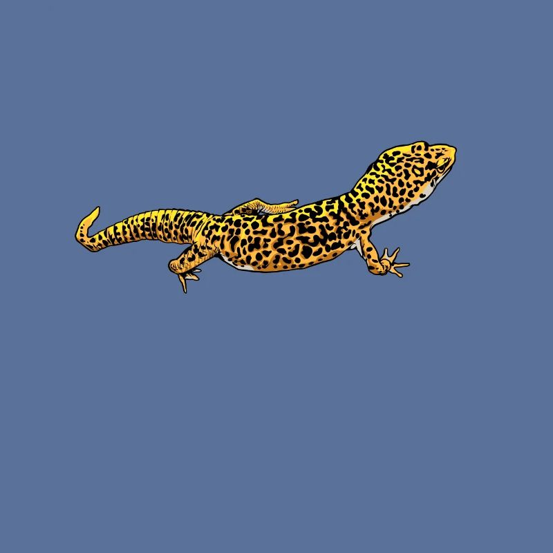 Zeichnung - Leopardgecko