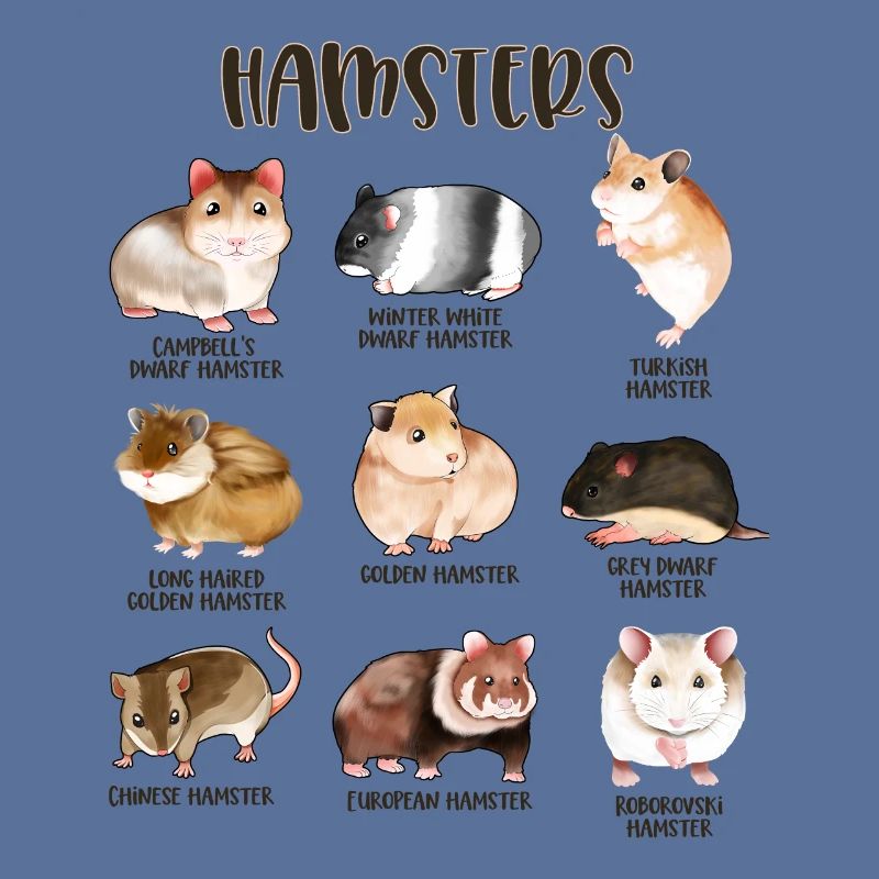Beaucoup de hamsters différents