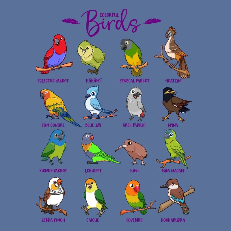 Différents oiseaux de dessin animé