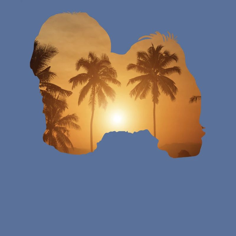 Sommerstrand - Havanese
