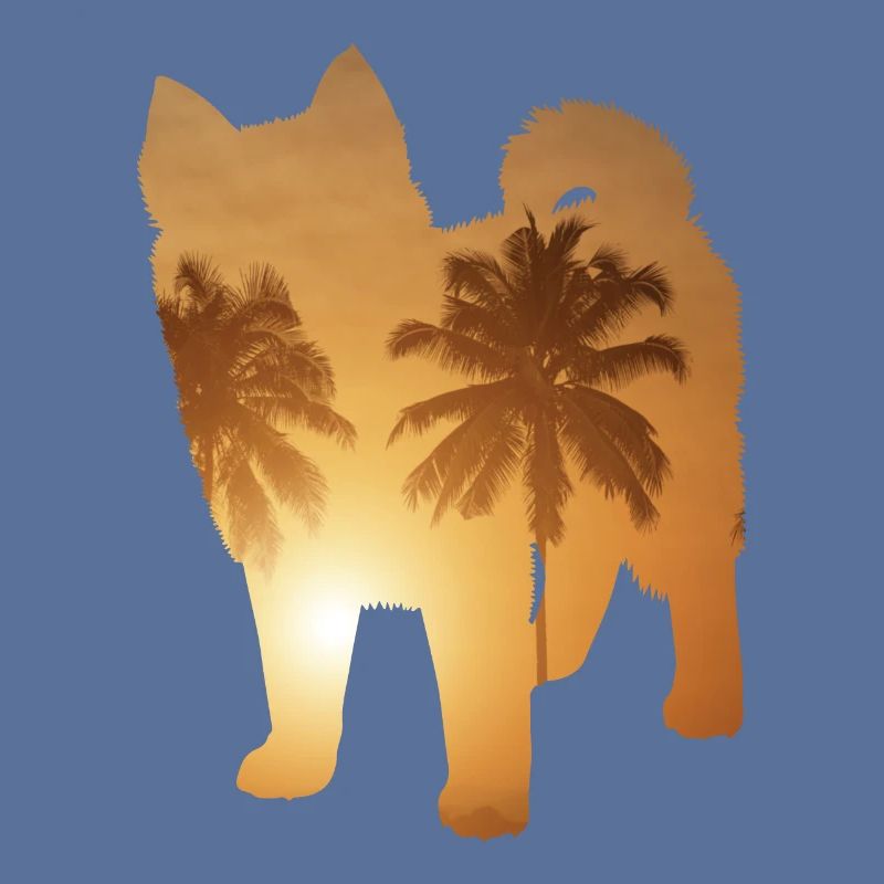 Sommerstrand - Pomsky