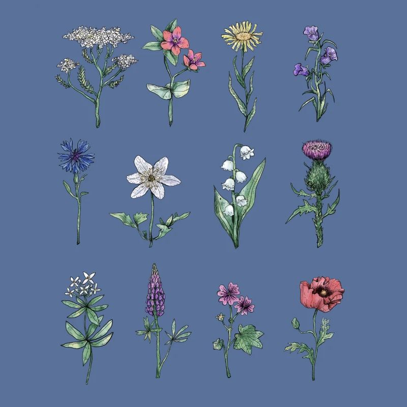 Verschiedene Wildblumen