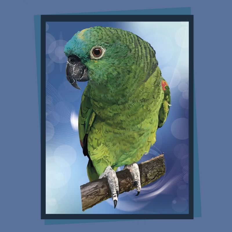 L’amazone à front bleu