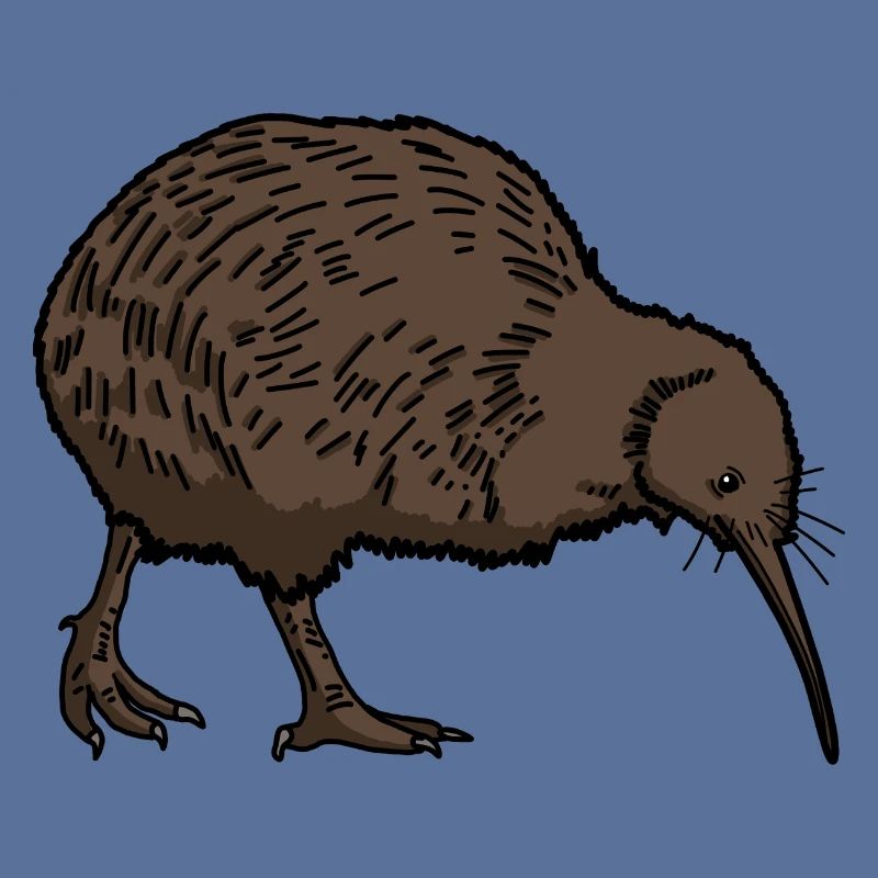 Kiwi Vogel