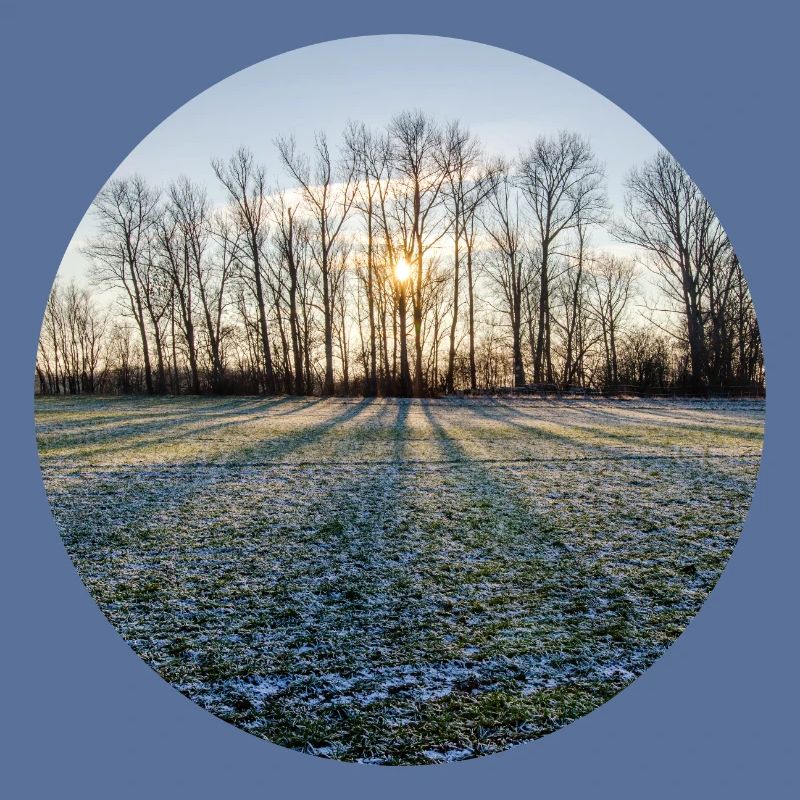 Winterliche Sonne