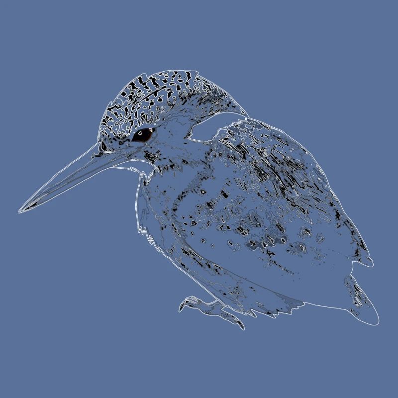 Eisvogel