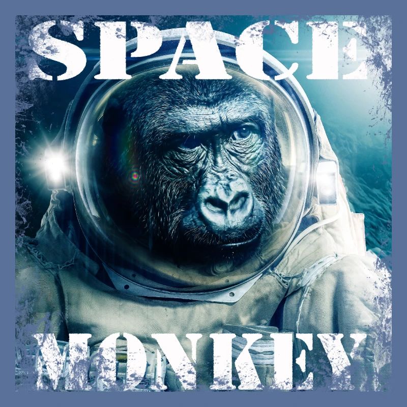Singe de l'espace