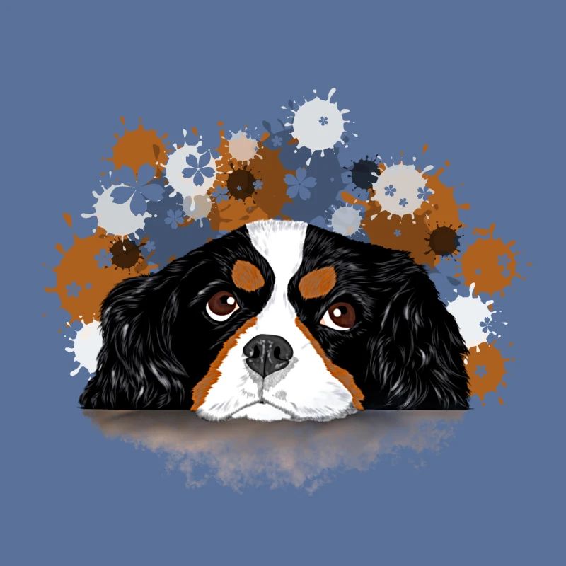 Spaniel