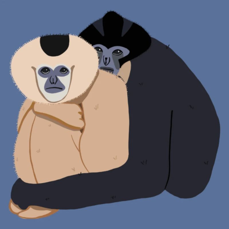 Gibbons