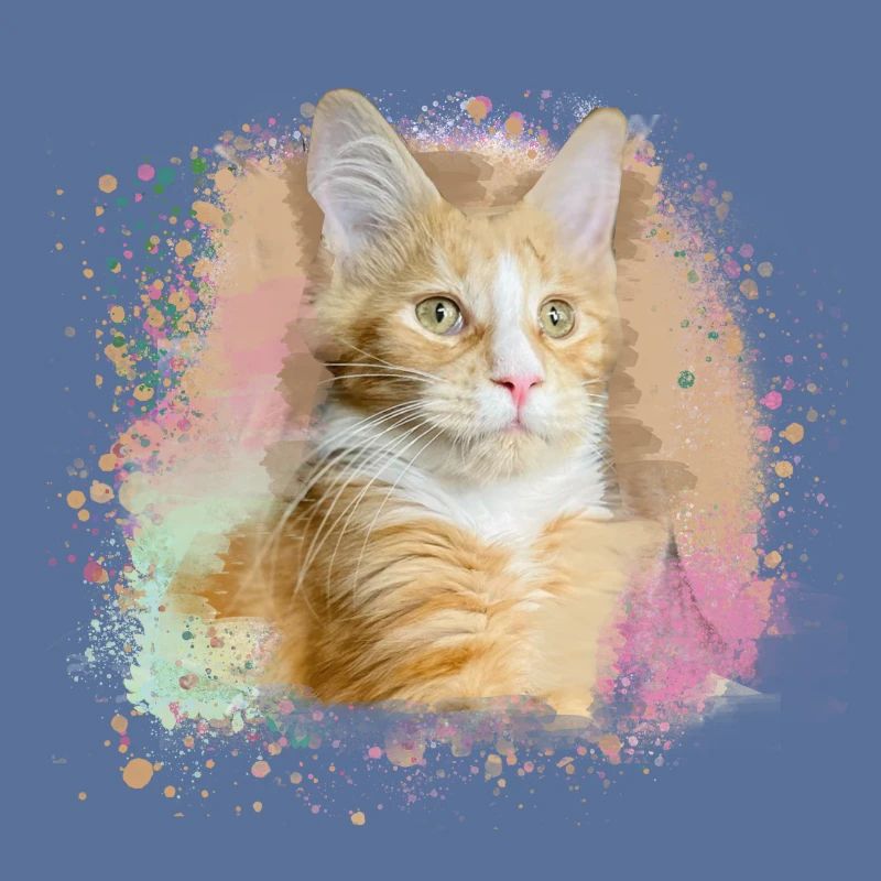 maincoon,katze,graffiti,malerei, Maine-Coon-Katze,