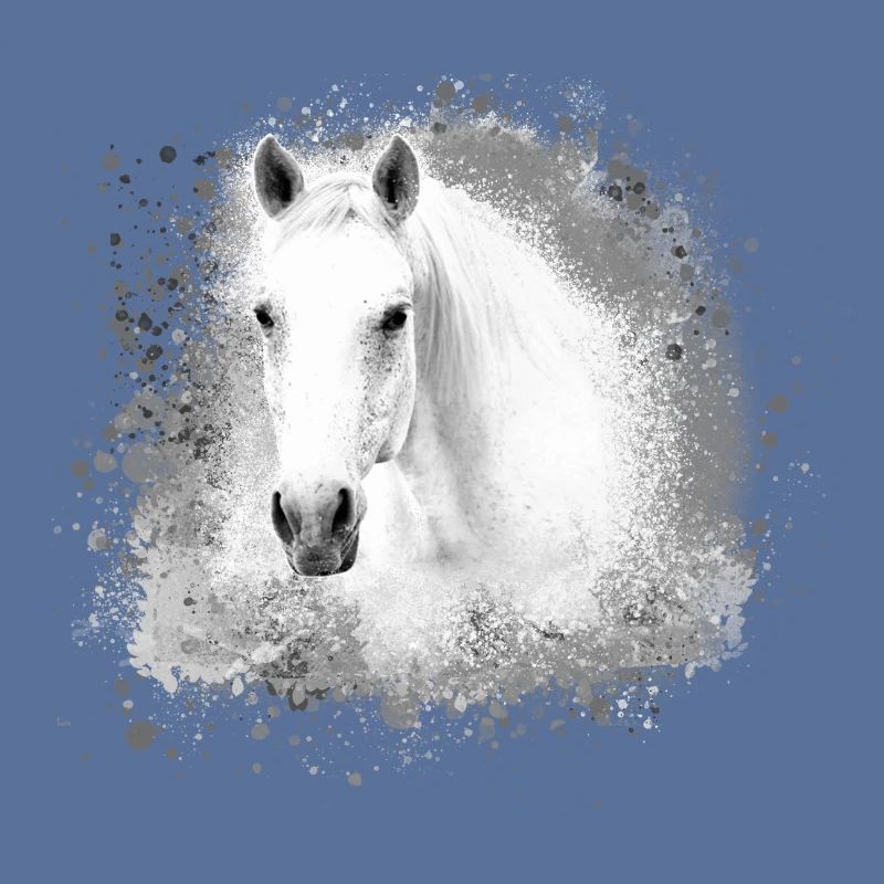 Moisissure, cheval, cheval blanc, graffiti, haflinger