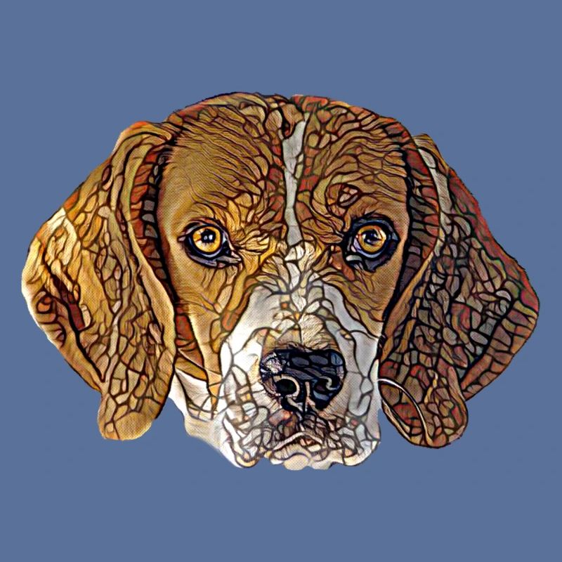 Beagle Gesicht