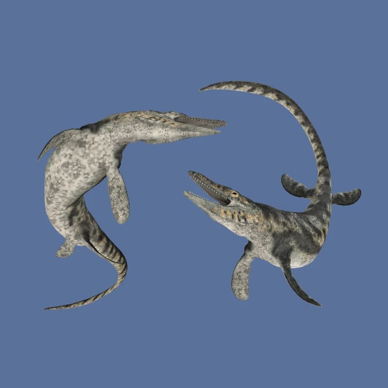 Mosasaurier Tylosaurus