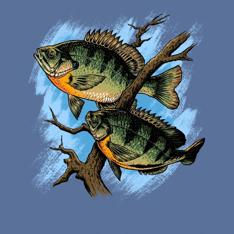 Crapet Arlequin Illustration Pêche Pullover conception